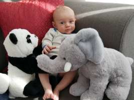 louis